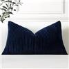 Artscope 1 Pezzi Federe per Cuscini in Velluto a Coste Elegante Copricuscini Decorativo per Domestica Soggiorno Camera da Letto Divano 40x60cm, Blu Marino