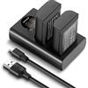 NEEWER DMW-BLK22 Batteria di Ricambio e Caricatori Set, 2 Pack 2400 mAh e Caricatore USB a Doppio Canale di Tipo C, Compatibile con Panasonic Lumix DC-S5 GH5 II S5 II GH6 S5 IIX S9