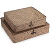 Hipiwe Set di 2 contenitori piatti in vimini intrecciato con coperchio, cestini in alga marina naturale, multiuso, per la casa, organizer per mensole (caffè)