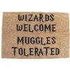 FastCraft Ispirato Wizards Welcome Muggles Tolerated Welcome zerbino