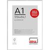 DEHA Design cornice per foto, 59,4 x 84,1 cm (A1), alluminio, Struttura Argento Opaco, cornice per posterper appenderein formato verticale e orizzontale, vetro sintetico, Tribeca