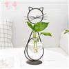CRITIVE-SHOP Vaso per fiori in vetro a forma di cuore, vaso di moltiplicazione idroponico con gatto in metallo, stazione di propagazione per piante, supporto decorativo per casa e ufficio