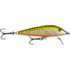 Rapala CD03 TR, Esche Artificiali da Pesca Unisex-Adult, Brown Trout, 3 cm / 4 g