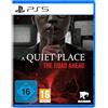 Nighthawk A Quiet Place - The Road Ahead - PS5