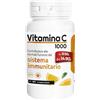 PALADIN PHARMA SpA SANAVITA VITAMINA C 60CPR