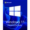 Microsoft WINDOWS 11 PROFESSIONAL - Licenza A Vita