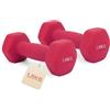 HCT STYLE Set Pesi Palestra Casa, Set Manubri Palestra Ghisa Rivestiti In Vinile Antiscivolo Dumbbells Set 1 A 5 Kg, Ideale Per L'allenamento Fitness Femminile, Yoga Pilates E Esercizi A Casa (2 * 2KG)