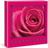 Lombardi Fotografo Album portafoto a Tasche per 100 Foto 13x19 con Memo, 1 Foto per Pagina, Interni Bianchi, Misure Album 21x21CM. (Fucsia)