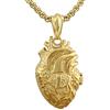 Serebra Jewelry - Collana con ciondolo a forma di cuore anatomico 3D, in acciaio inox, argento, colore: nero, oro, unisex, Argento sterling,