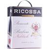CANTINA RICOSSA ANTICA CASA BARBERA NEBBIOLO PIEMONTE BAG IN BOX 3 LT