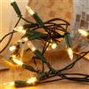 Hellum luci fiabesche da interno Pisello con 20 LED bianco caldo, illuminazione 2,85 m, illuminazione albero di Natale, cavo verde con spina e cavo di alimentazione 1,5 m, < 59 lumen, 150209