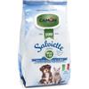 CAMON | Salviette Detergenti per Cani e Gatti, 30x17 cm, Confezione da 100 Pezzi, Fragranza Muschio e Aloe, Senza Alcool etilico né Parabeni, Made in Italy