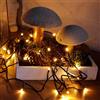 Hellum LED catena di luci Esterno con timer, 11,9m 120 LED ambra (bianco caldo classico), Cavo di illuminazione albero Natale in verde <59 lm 576641