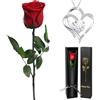 Yamonic Rosa Stabilizzata con Collana Regalo Donna, Vera Rosa Eterna con Steli Idee Regalo per Anniversario, Rosa Eterna Regalo Donna Compleanno, Natale San Valentino Regali per Lei