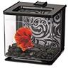 Marina Betta EZ Care - Accessorio per acquario per pesce combattente in diversi colori