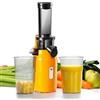 Ventray Ginnie Estrattore Frutta e Verdura - Slow Juicer 60 Giri/Min- Estrattore di Succo con Funzione di Masticazione Inversa, Facile da Pulire, Senza BPA, Cold Press, Spremiagrumi Elettrico, Giallo