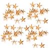 Tomotato 200Pezzi Rivetti a Stella, 10mm Chiodi a Forma di Artiglio a Stella, Borchie Punk in Metallo per Lavorazione della Pelle, Per Borse Fai da Te, Cappelli, Abbigliamento, Decorazione(Oro)
