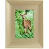 Generico Alexhome - Cornice per foto - cornice per immagini - rettangolare, formato 10 x 15, con supporto da tavolo - in legno e vetro. (COLORE : ORO, 10 x 15 cm)