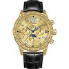 FORSINING Orologio da polso da uomo, automatico, con fasi lunari, alla moda, meccanico, in pelle, impermeabile, da lavoro, Luminoius, Oro, Classico