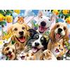 AveJoys Puzzle per Adulti 1000 Pezzi - Felici Animali Domestici 70x50cm - Gioco Educativo Sfida Giocattoli per Adulti e Bambini