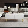 PD1 Tavolino da Salotto Moderno con 2 Cassetti e Design a Righe Verticali, 100x50x40 cm - Tavolino da Divano, Bianco+Oro