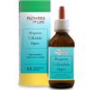 4EVER YOUNG (Flowers of Life) ARGENTO COLLOIDALE 10PPM 100ML