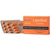 FARMAD LABORATORI FIRENZE Srl LIPOSOD 850MG 30CPR