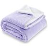 SOCHOW Coperta in Pile Sherpa Waffle, Coperta in Peluche Reversibile Super Soft Fuzzy Calda, Leggera e Soffice per Divano Letto Lilla 220 x 240 cm