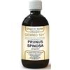 DR.GIORGINI SER-VIS SRL Gemmo 10+ Prugnolo 500 Ml Liquido Analcolico