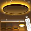 PAZEAU Plafoniera Lampada da Soffitto a LED, 24W Plafoniere Lampadario con Telecomando, Luce Notturna Dimmerabile1800K, 3000K-6500K Lampadari per Camere, Bagno, Cucina,da Letto, Soggiorni, Ø29.5cm