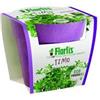 Orvital Plantcup Timo