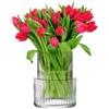 Krosno Chiaro Rigato Vaso Fiori in Vetro 20 cm - Cristallo Vaso Trasparente per Fiori e Bouquet - senza Piombo - Vasi Decorativo da Interno e Tavolla - Moderni Home Decor