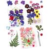 Cinvo 68 fiori e foglie essiccati veri secchi pressati, petali naturali secchi verdi con pinzette per candele, resina, gioielli, sapone, ciondoli per unghie, custodia per telefono, decorazioni