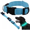 Genérico Collare LED luminoso per cani - lunghezza regolabile | collare di sicurezza e visibilità - 3 modalità di luce - comodo da indossare, taglia BW 36-53 cm (blu)