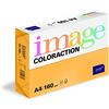 IMAGE Coloraction 838A 160S 8 Antalis DIN A4, 160 gr/mq- Carta per fotocopie, colore: Oro antico