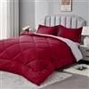 beeweed Piumino Letto Singolo Invernale 135x200 cm - 450 gr/mq Reversibile Piumone Inverno per Letto da 80x190, Trapunta 200x135 Microfibra Sintetica, Bianco, 1 Federe(50x80cm)
