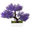 Verve Jelly Cedro Bonsai Artificiale, Pino Bonsai Artificiale in Vaso Pianta Finta in Vaso Fiori Finti Piante Bonsai per Decorazione Domestica, Ufficio/Davanzale/Cortile, Display Desktop, 7.1x9.8inch