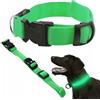 Genérico Collare LED luminoso per cani - lunghezza regolabile | collare di sicurezza e visibilità - 3 modalità di luce - comodo da indossare, taglia BW 36-53 cm (verde)