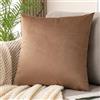 SWJ-swjssb 2 pezzi Federe Cuscini 40X60,Federe Cuscino 50x70 Velluto Copri Cuscini Per Divano Letto Rettangolare,Copricuscini Con Chiusura A Cerniera Morbido E Traspirante Pillow Covers(#17,60x60 cm(Set of 2 ))
