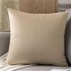 SWJ-swjssb 2 pezzi Federe Cuscini 40X60,Federe Cuscino 50x70 Velluto Copri Cuscini Per Divano Letto Rettangolare,Copricuscini Con Chiusura A Cerniera Morbido E Traspirante Pillow Covers(#4,60x60 cm(Set of 2 ))