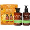 Apivita Cofaentto Tonic Mountain Tea
