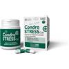 INNOVET ITALIA SRL Innovet Condrostress+ Cat Integratore Articolare Contro Osteoartrite Gatti 30 Capsule