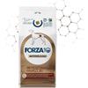 Forza 10 dog active intestinal colon fase 2 10kg