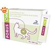 Dechra Cat Porus One (30x500gr) - Confezione Da 30 Pezzi