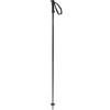 Salomon Polar Access, Alpine Poles WSE, Black, 100