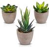 Zalava Set di 3 Piante Artificiali Succulenti in Vasi Tondi Mini Piante Grasse Finte da Interno per Decorazione Casa Ufficio Scrivania Tavolo Cucina Balcone Matrimonio Bagno di Casa, Verde