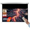 celexon Schermo elettrico per home theatre e business, con scatola di controllo e telecomando Motor Professional Plus, 200 x 125 cm, 16:10