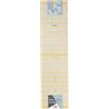 Prym 611308 Regolo universale 15 x 60 cm angolo