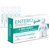 Paladin Pharma Enterolife Forte 4 Mld 10f