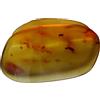 AMBRA FOSSILE con vari INSETTI color caramello 8,6 gr